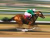 Early Selling: Thoroughbreds and Explorers
