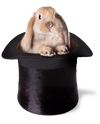 Magical Thinking and the Zero-Sum Roadmap