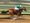 Early Selling: Thoroughbreds and Explorers