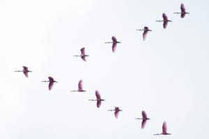 “When Will We Finish This Migration So R&D Teams Can Work On Innovation?”