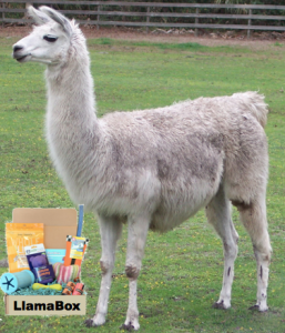 LlamaBox